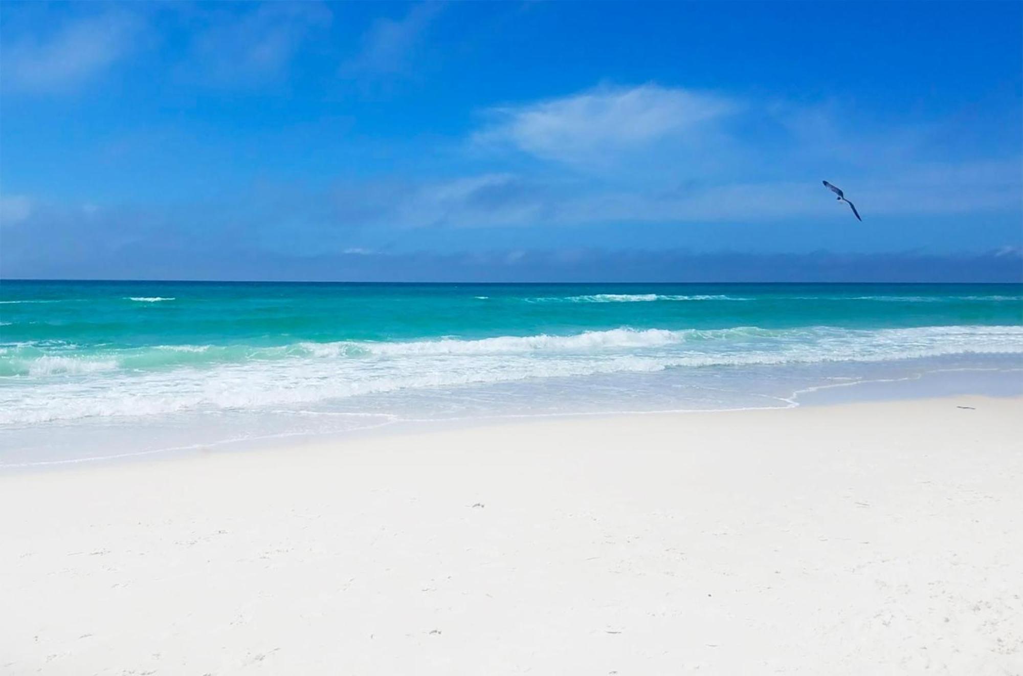 Twin Palms 804 Apartment Panama City Beach Bagian luar foto